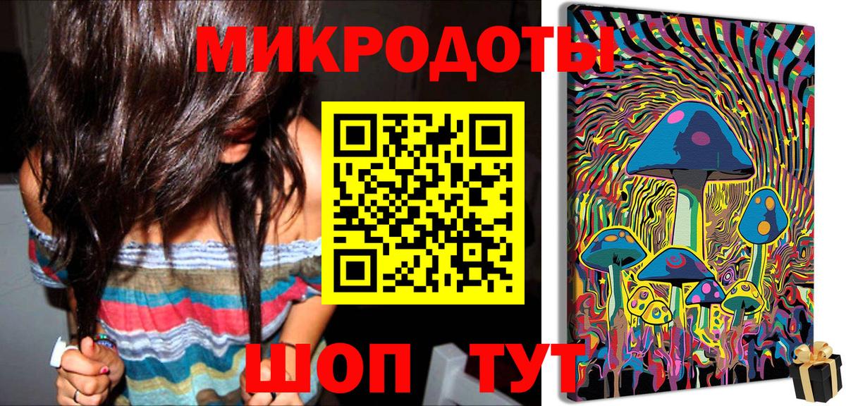Псилоцибиновые грибы Psilocybe Бугульма